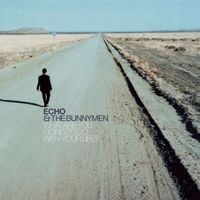 Echo & the Bunnymen - What Are You Going to Do with Your Life?