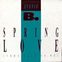 Stevie B - Spring Love