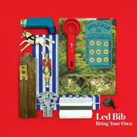 Led Bib - Bring Your Own