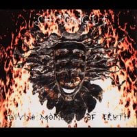 Shpongle - Divine Moments of Truth