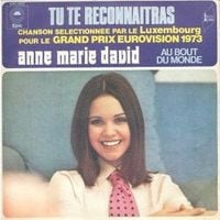 Anne-Marie David - Tu te reconna&icirc;tras