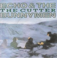 Echo & the Bunnymen - The Cutter