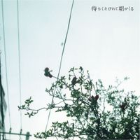 クリープハイプ [CreepHyp] - 待ちくたびれて朝がくる