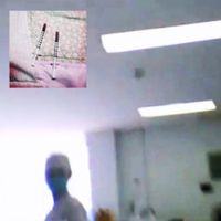 gl0wrm - in a needle i found truth