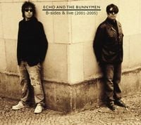 Echo & the Bunnymen - B-sides & Live (2001&ndash;2005)