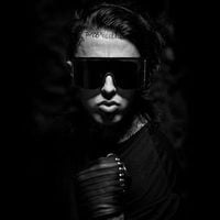 Ronnie Radke - Role Model
