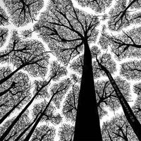 Seth Glier - Everything