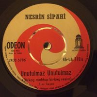 Nesrin Sipahi - Unutulmaz Unutulmaz (Kalbe Dolan O İlk Bakış) / Bana Bir Aşk Masalından Şarkılar S&ouml;yle