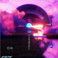 FLY - Flip Mix Vol. 2
