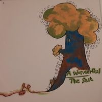 A Wonderful - The Salt