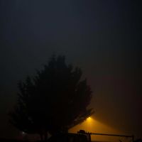 Synthronautic - Midnight