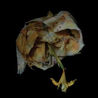 Point Of Memory - Void Pusher