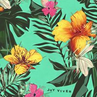 Joy Viver - Joy Viver