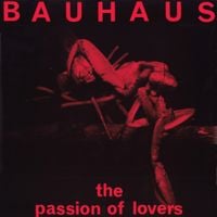 Bauhaus - The Passion of Lovers