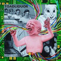 Toadliquor - Back In The Hole