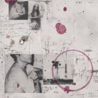Del Water Gap - Cigarettes & Wine