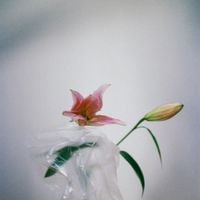 Moskva Surfing Club - 꿈이라면 좋을까