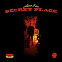 Tommy Newport - Secret Place