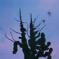 Aburadako - Aburadako（木盤）