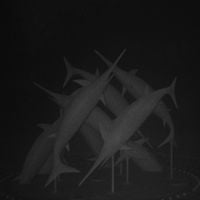 Desktop Error - Indelible Stain