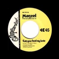 Manzel - Can You Feel My Love