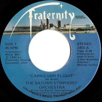 Manzel - Capricorn Flight / Sugar Dreams