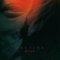 V&aelig;gtl&oslash;s - Aftryk