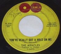 The Miracles - You've Really Got a Hold on Me