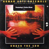Human Arts Ensemble - Under The Sun