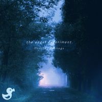 the angel experiment. - fleeting feelings
