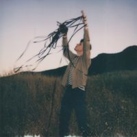 Chaz Cardigan - A Year In Glassland