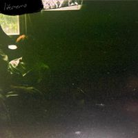 Lifememo - i dreamt of existing