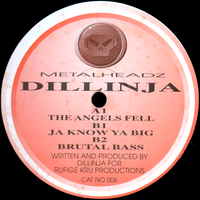 Dillinja - The Angels Fell