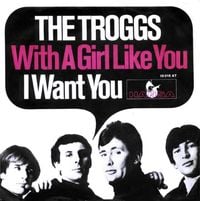 The Troggs - With a Girl Like You