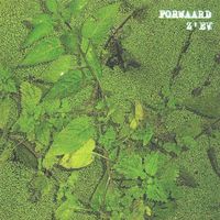 Z'EV - Forwaard