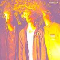 Ave Negra - Ave Negra