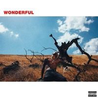 Travis Scott - wonderful