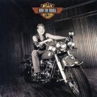 Willie Nelson - Born for Trouble