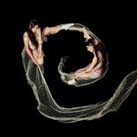 Caroline Polachek - Butterfly Net