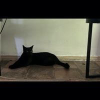 Sweet Boy - Sweet Boy
