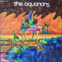The Aquarians - Jungle Grass