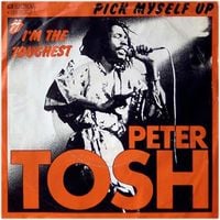 Peter Tosh - Pick Myself Up