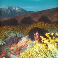 Brittany Howard - Power to Undo