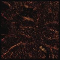 Cell - The Unbearable Form