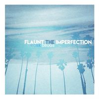 Work Drugs - Flaunt the Imperfection