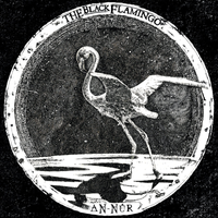 The Black Flamingo - AN​-​N​&Ucirc;​R