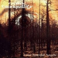 Dark Tranquillity - Enter Suicidal Angels