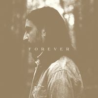 Noah Kahan - Stick Season (Forever)