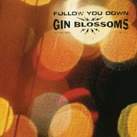 Gin Blossoms - Follow You Down
