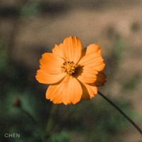 CHEN - Before the Petals Fall